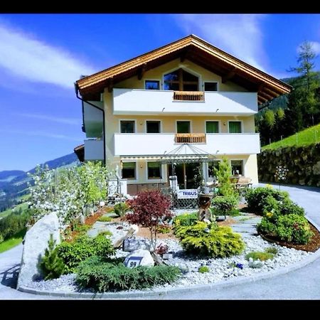 Ferienwohnungen Hinterstein Hart im Zillertal Exteriér fotografie